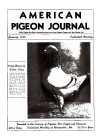 Magazine Cover